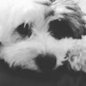 Meet your Posher, Julieta